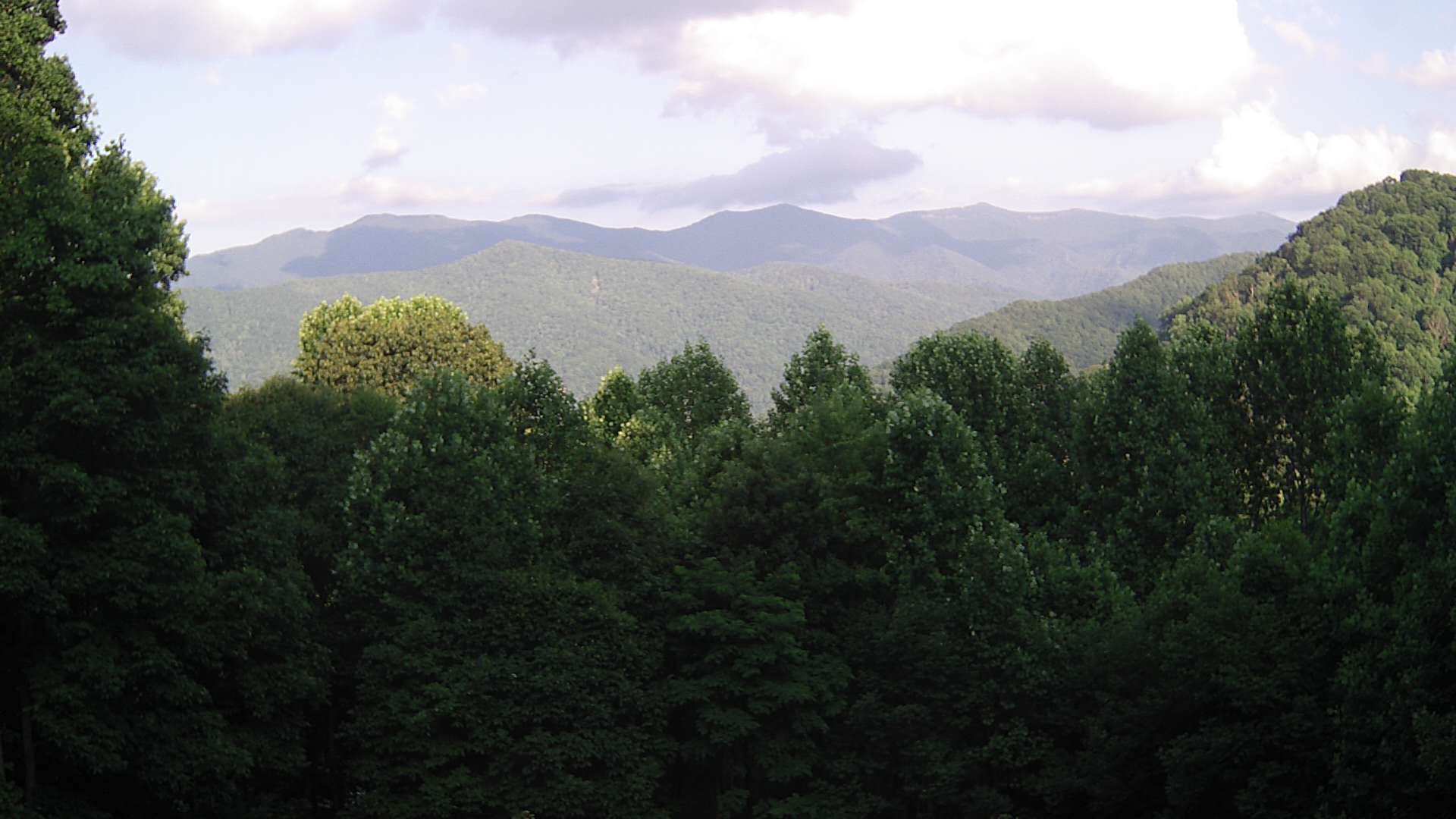 click for next image... slideshow image