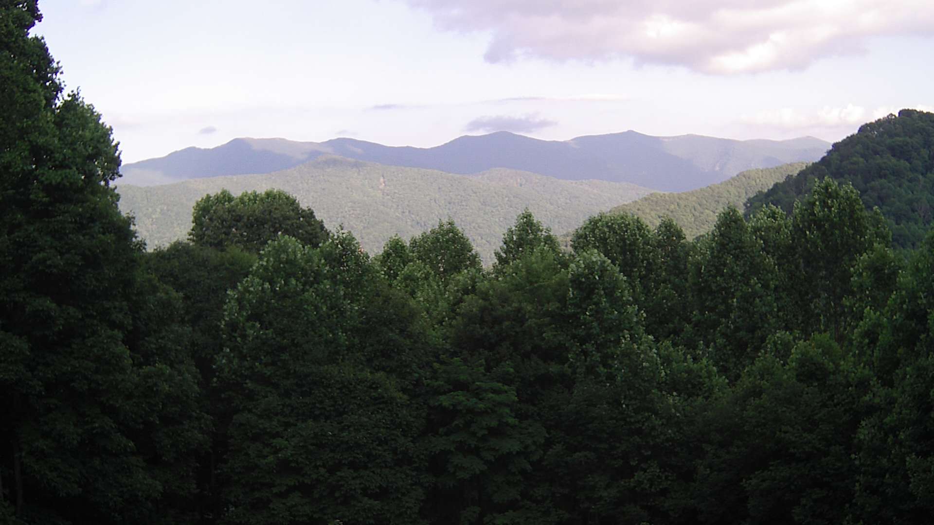 click for next image... slideshow image