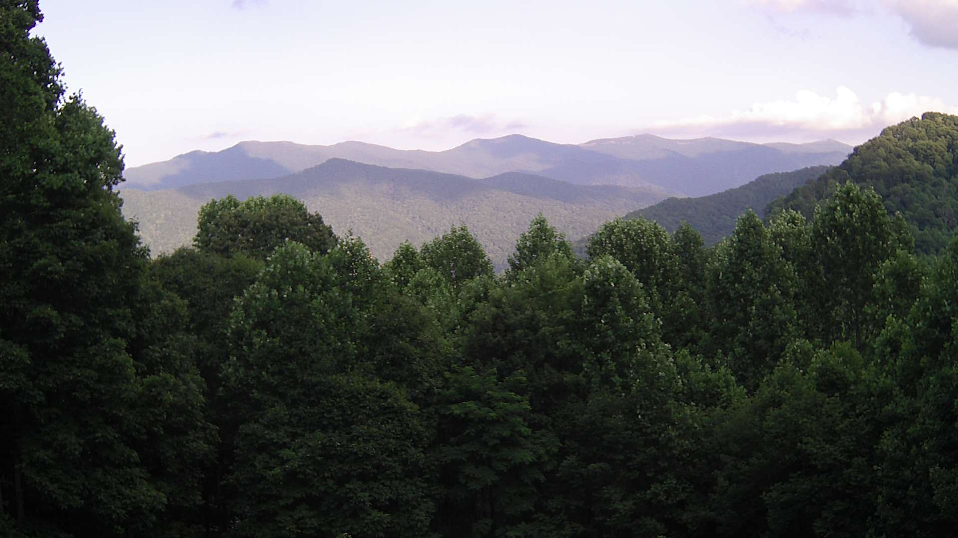 click for next image... slideshow image