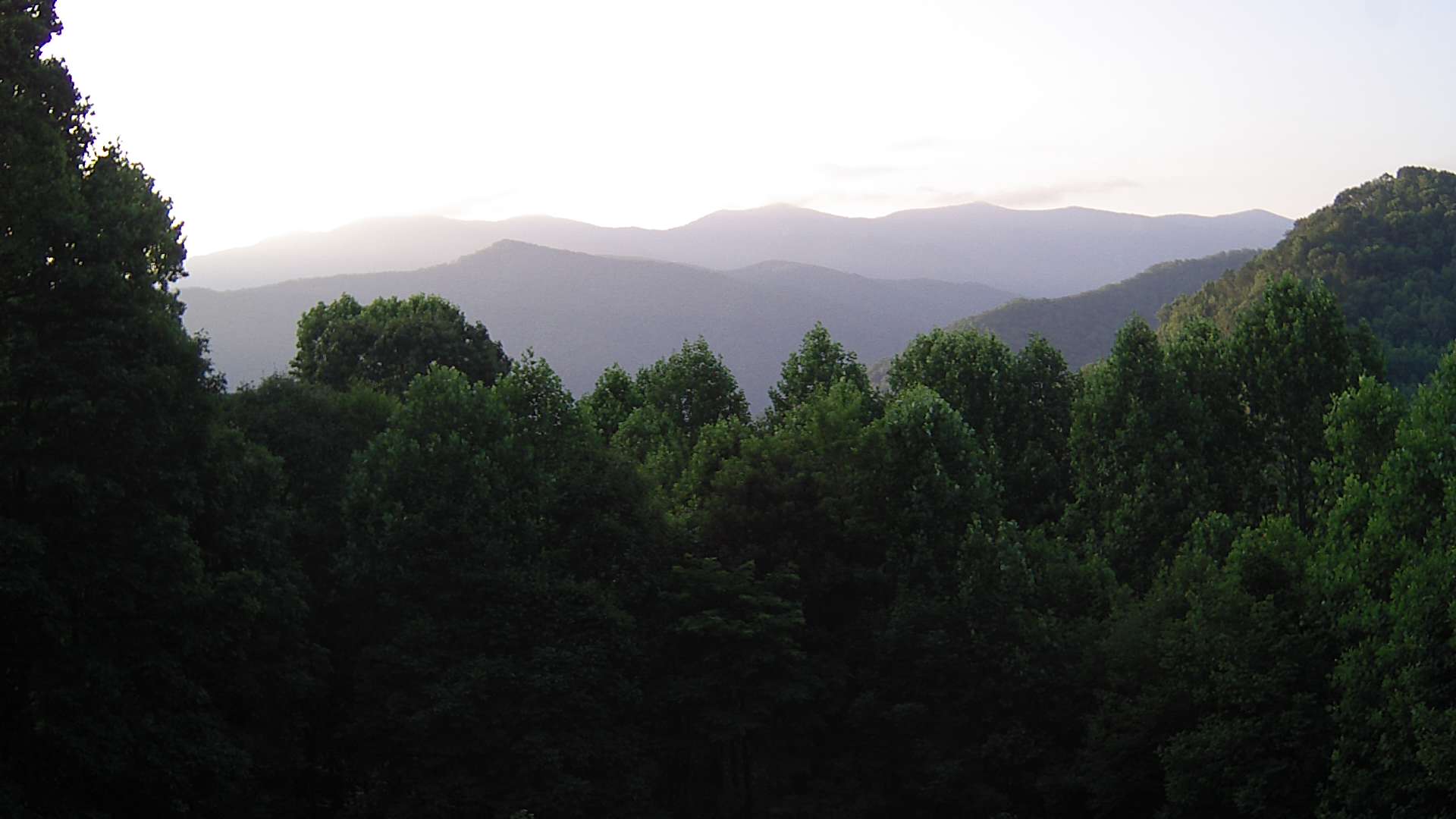 click for next image... slideshow image