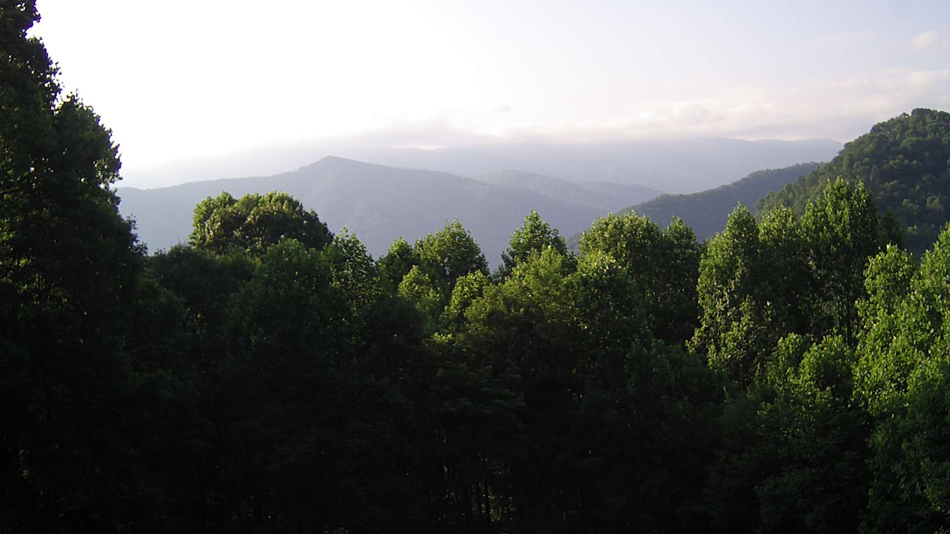 click for next image... slideshow image