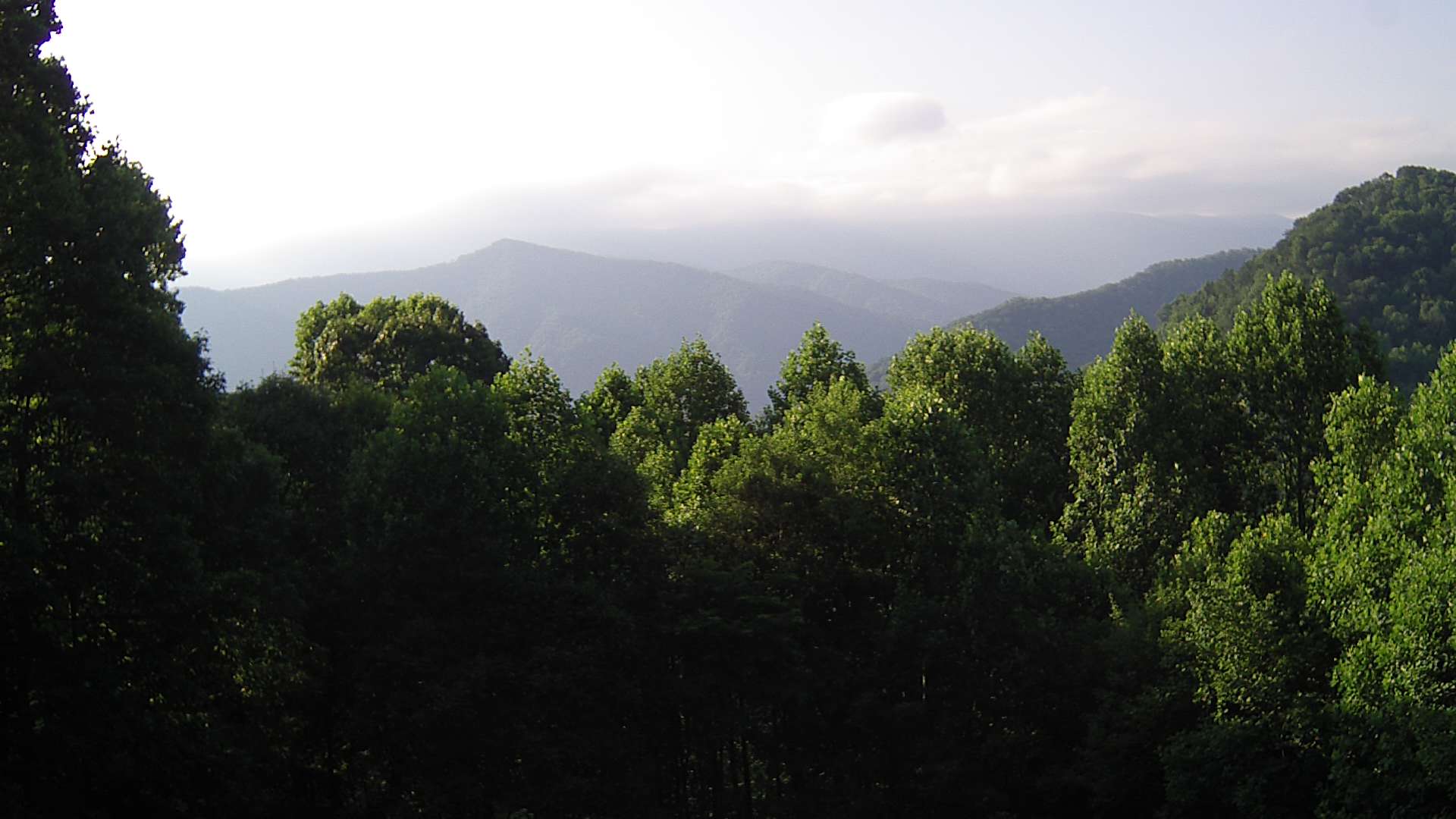 click for next image... slideshow image