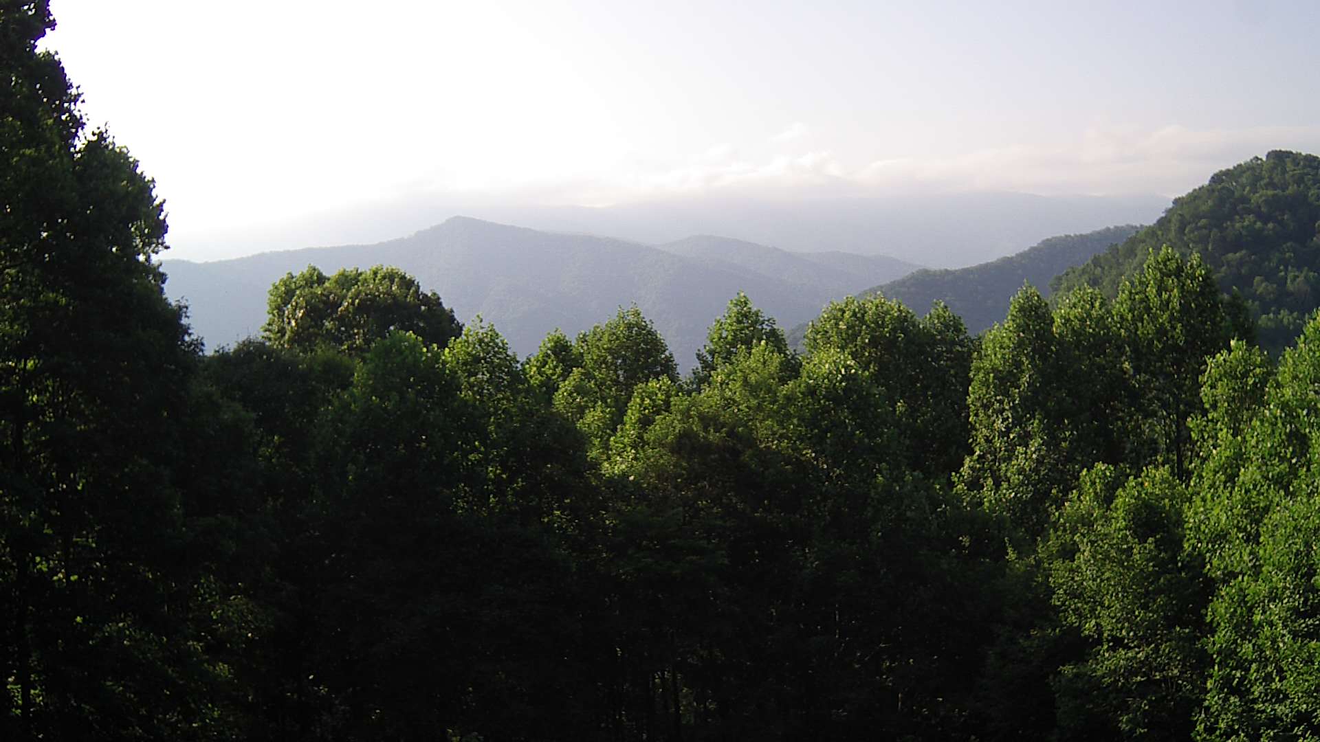 click for next image... slideshow image