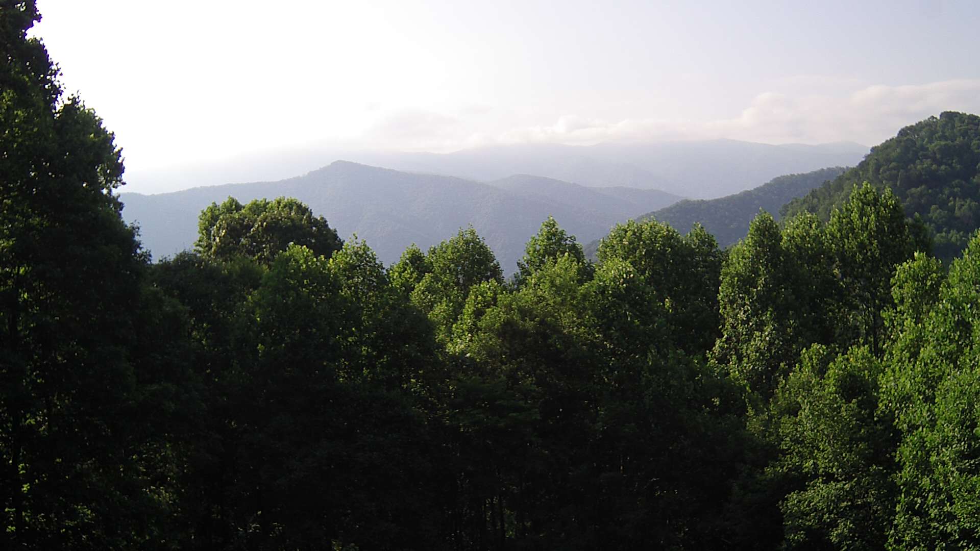 click for next image... slideshow image