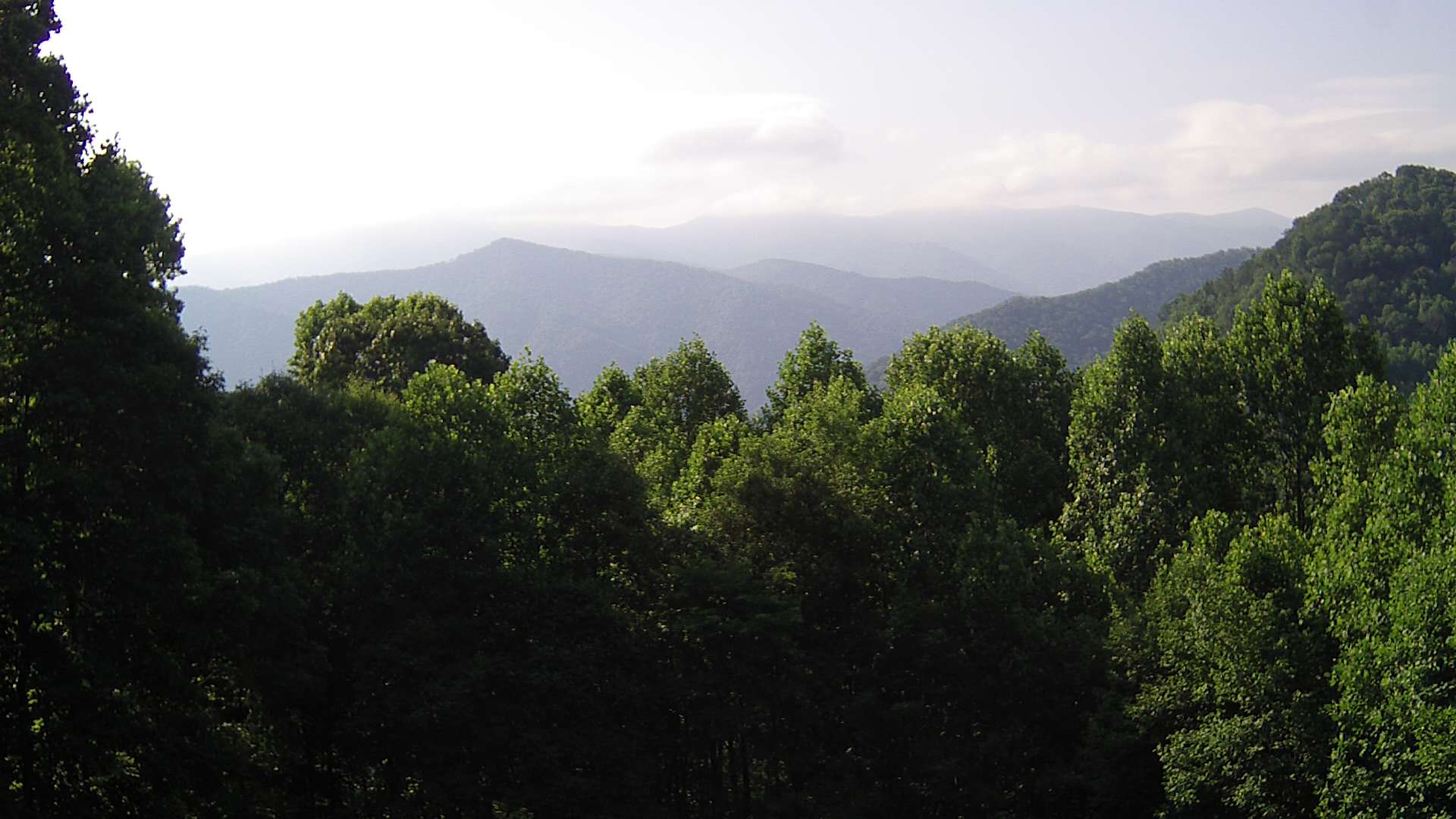 click for next image... slideshow image