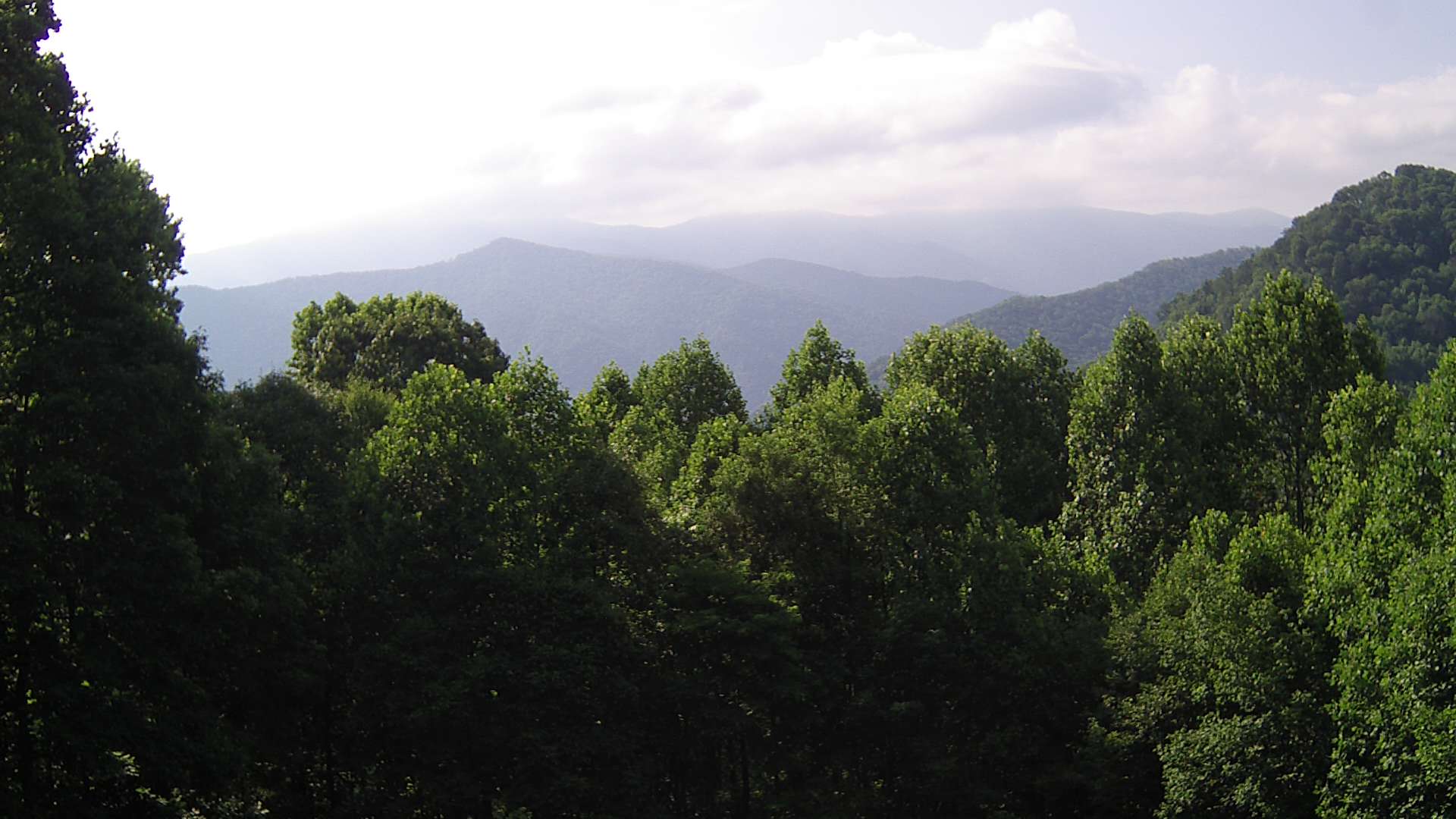 click for next image... slideshow image