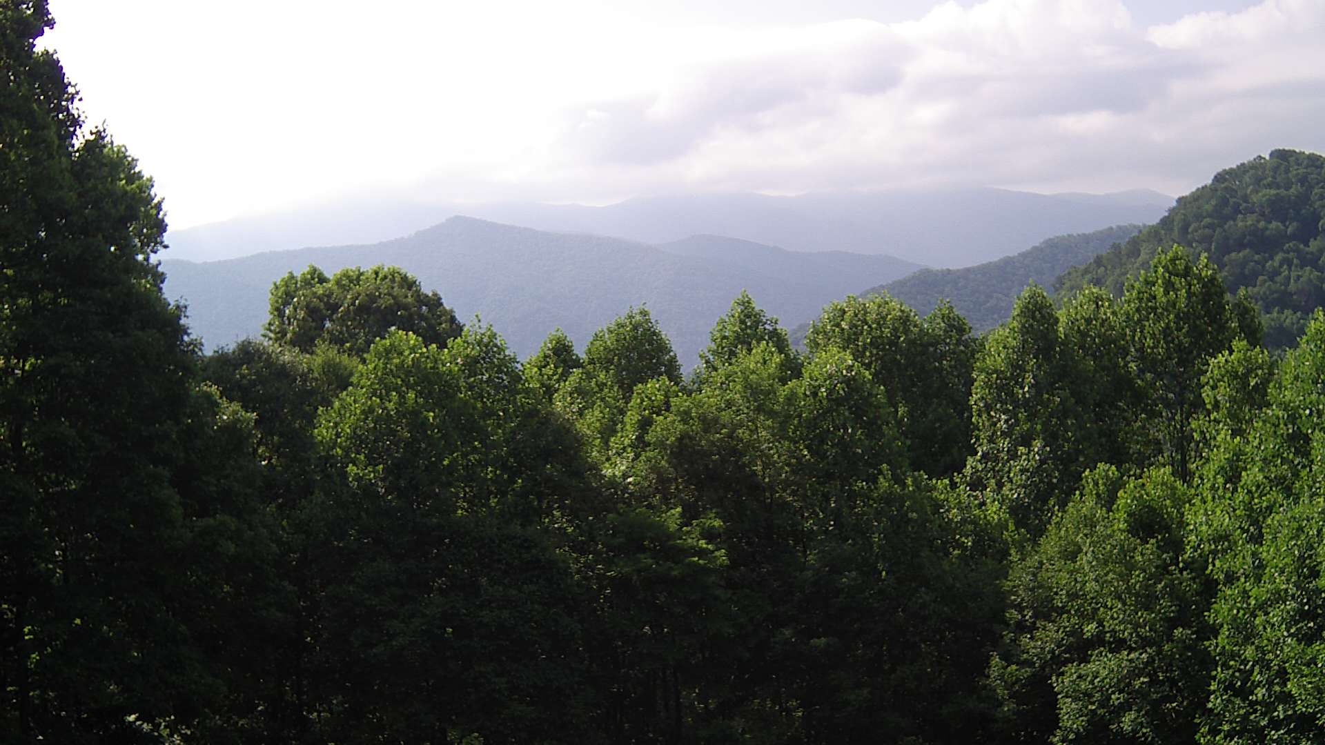 click for next image... slideshow image