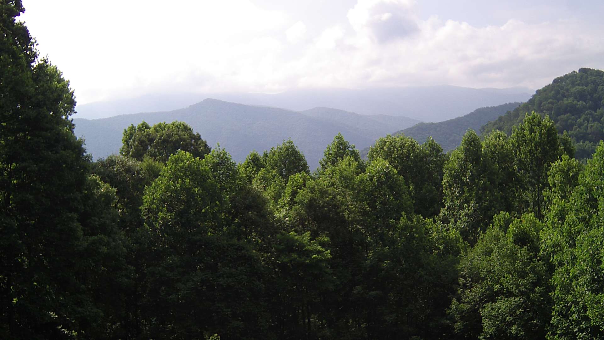 click for next image... slideshow image