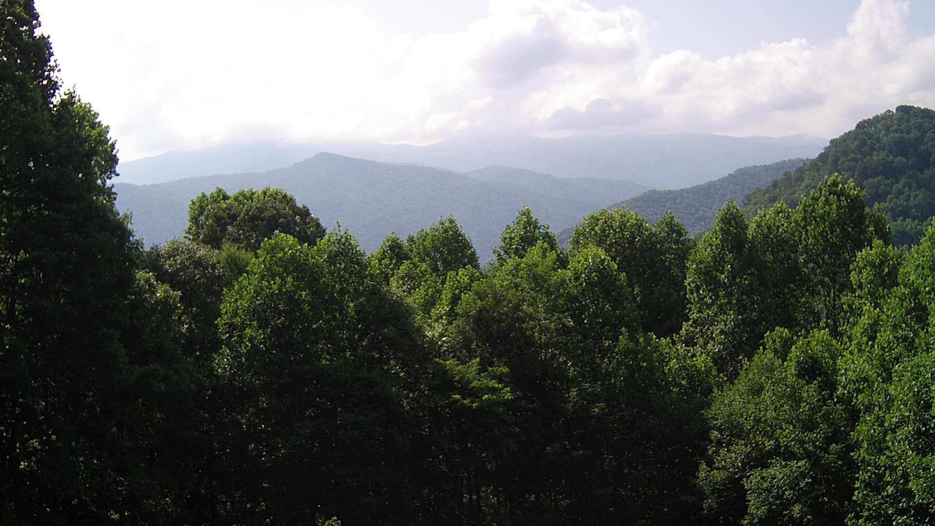 click for next image... slideshow image