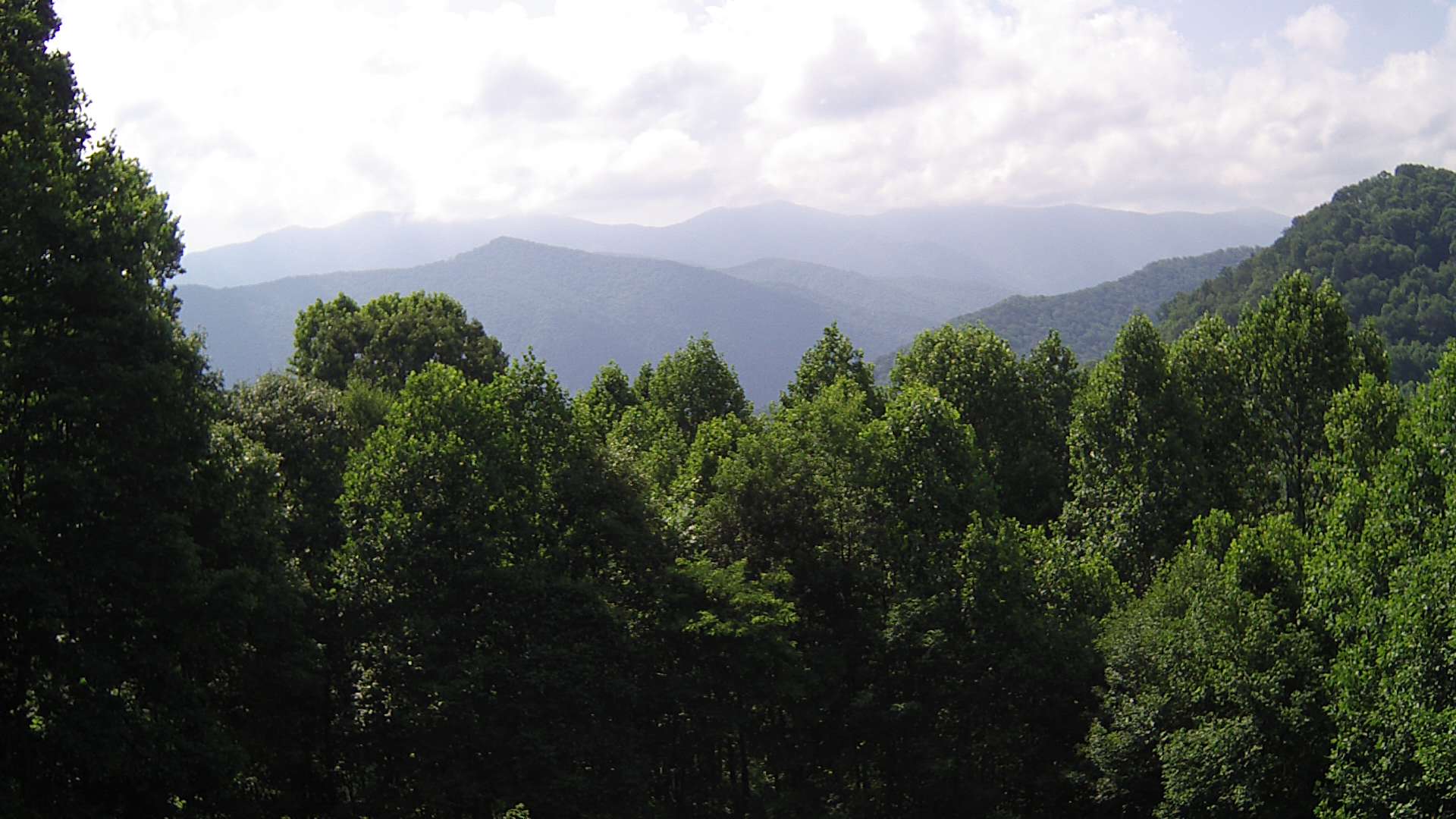 click for next image... slideshow image