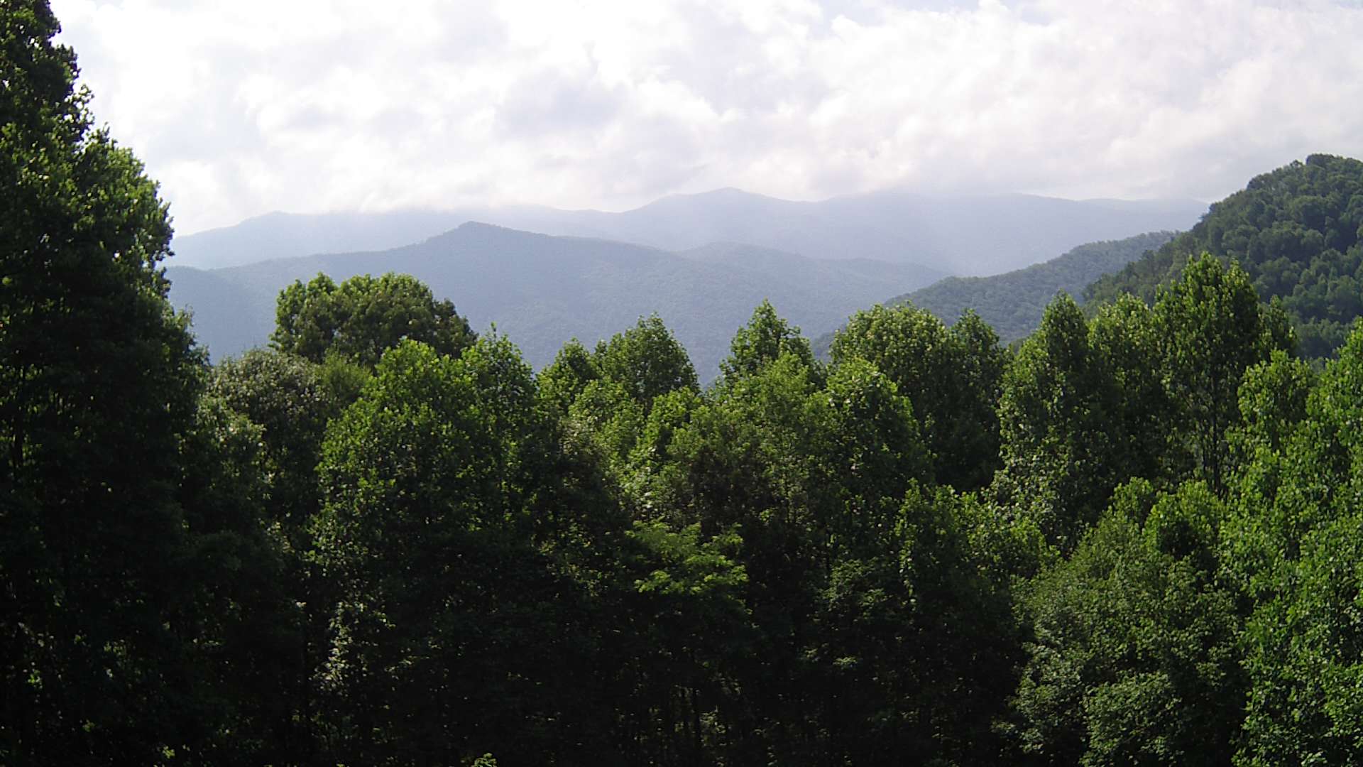 click for next image... slideshow image