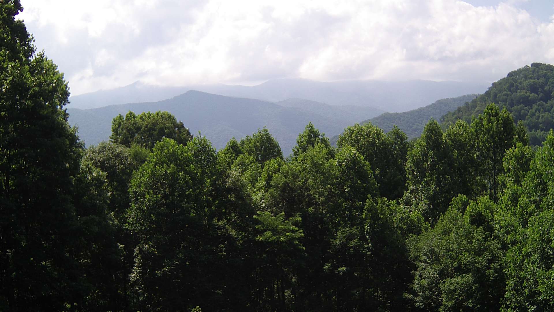 click for next image... slideshow image