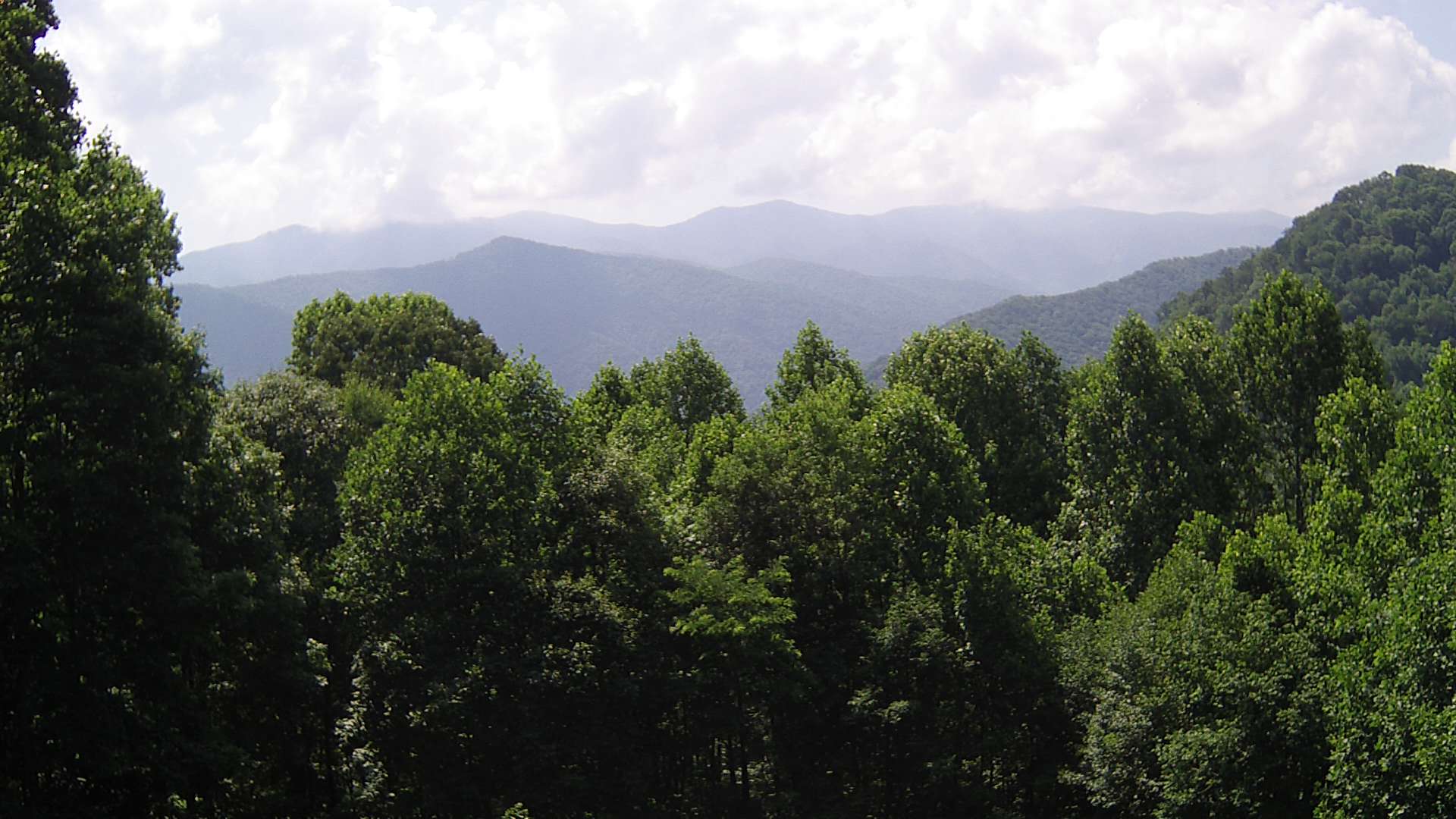 click for next image... slideshow image