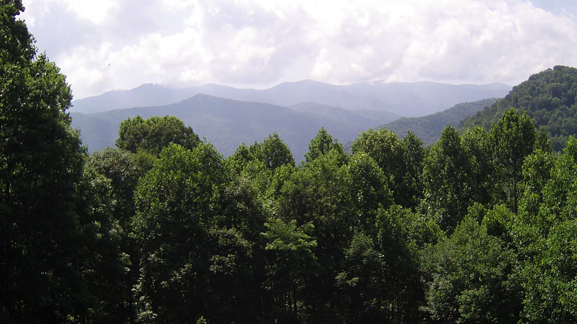 click for next image... slideshow image