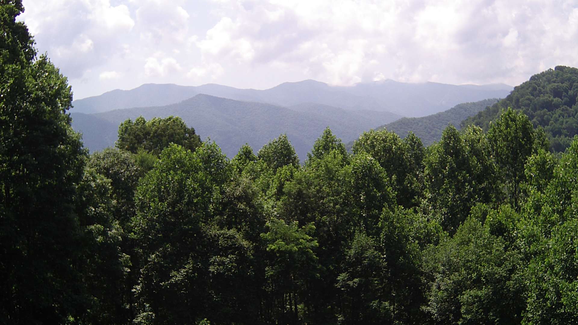 click for next image... slideshow image