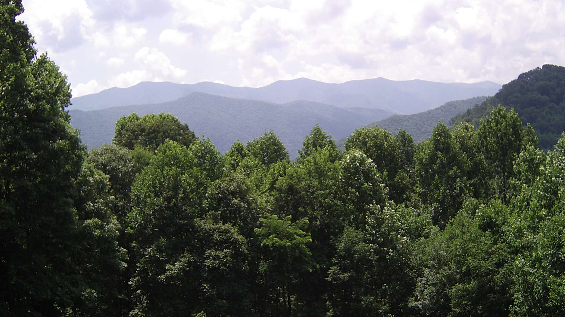 click for next image... slideshow image