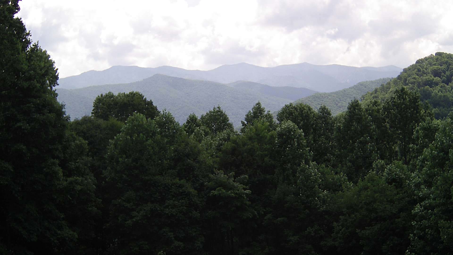 click for next image... slideshow image