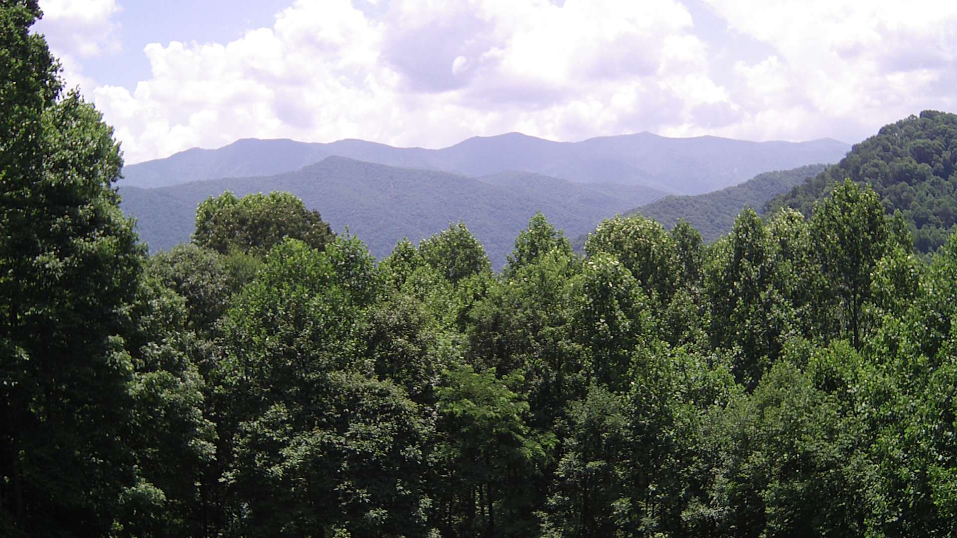 click for next image... slideshow image