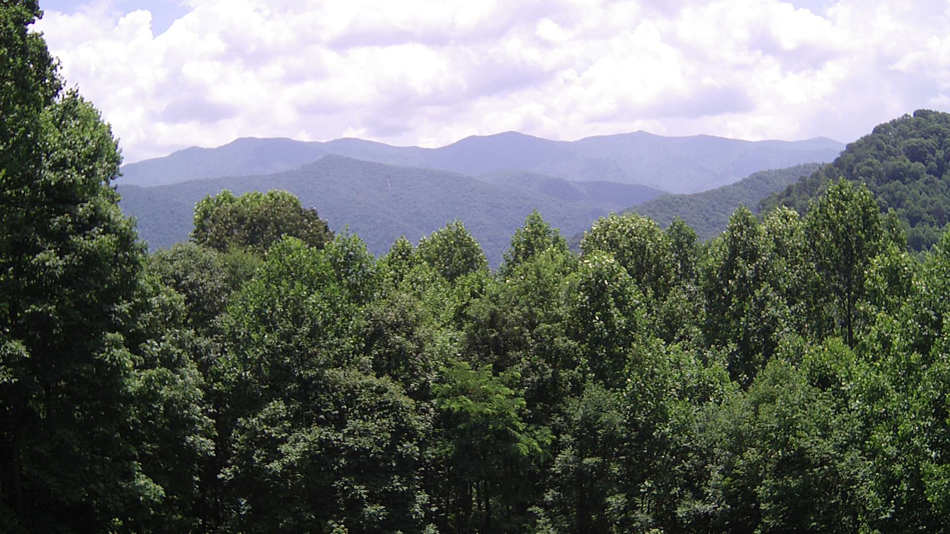 click for next image... slideshow image