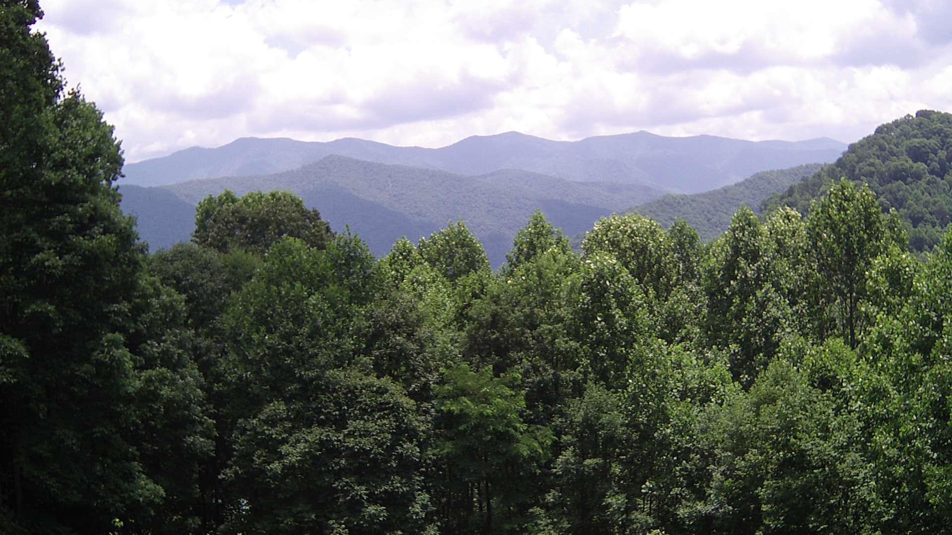 click for next image... slideshow image