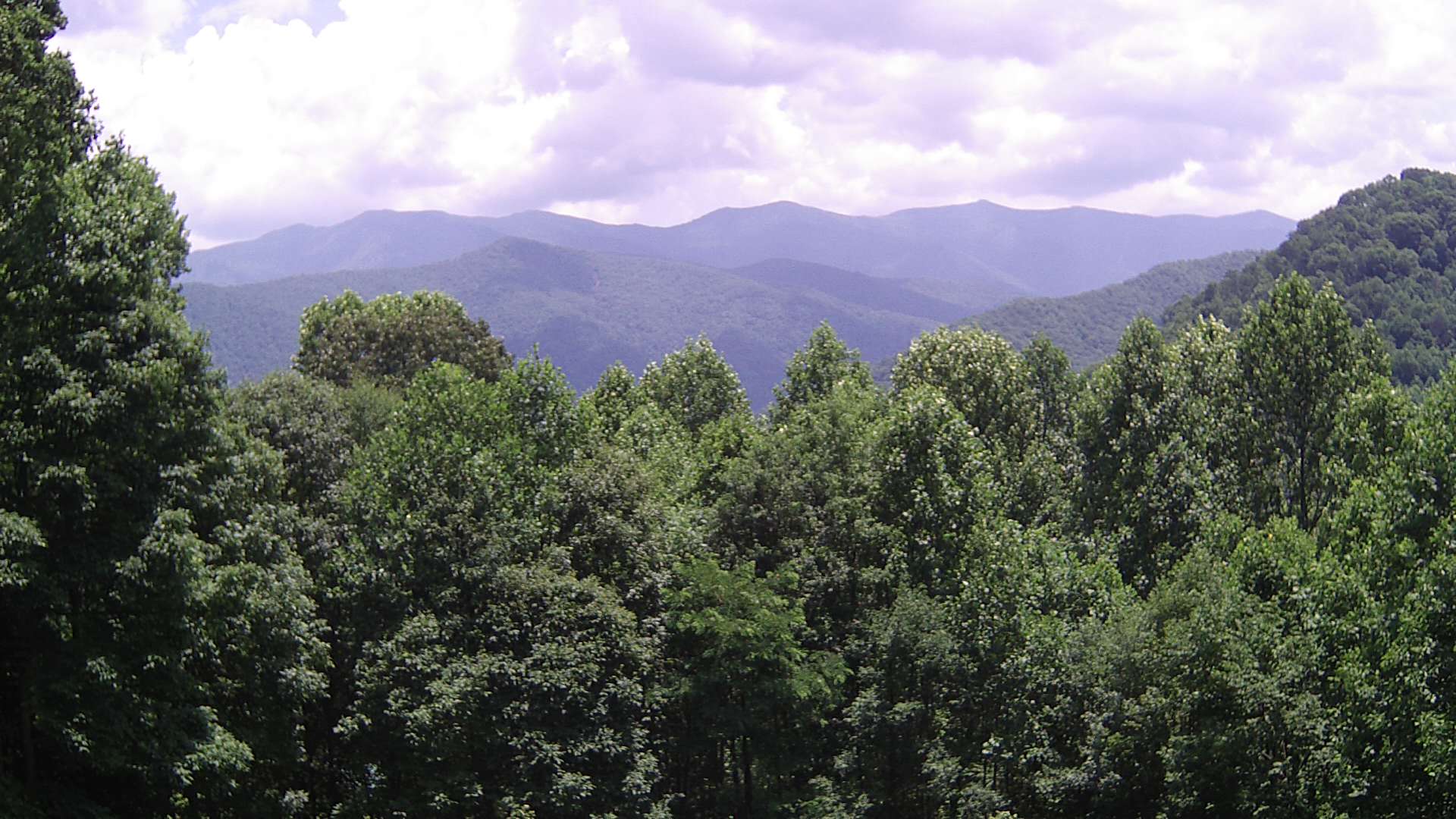 click for next image... slideshow image