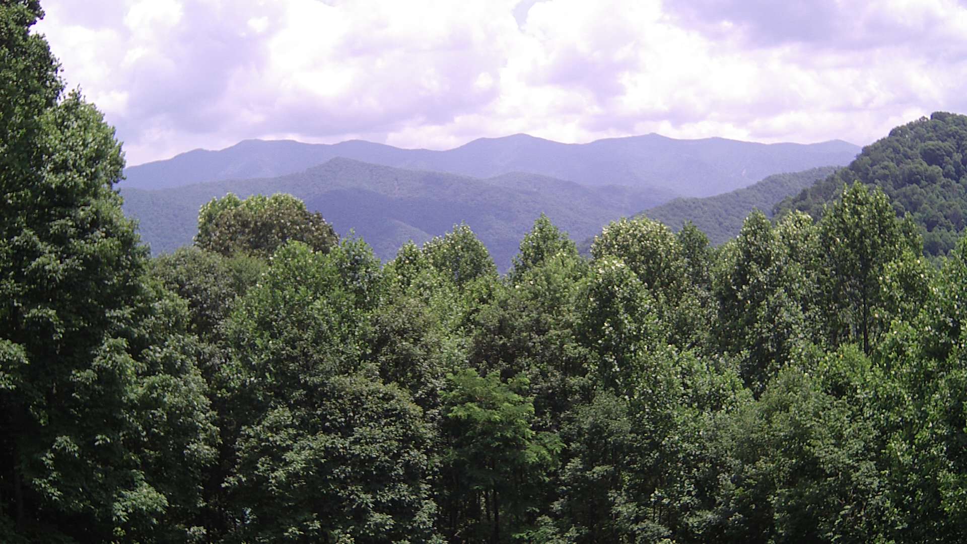 click for next image... slideshow image