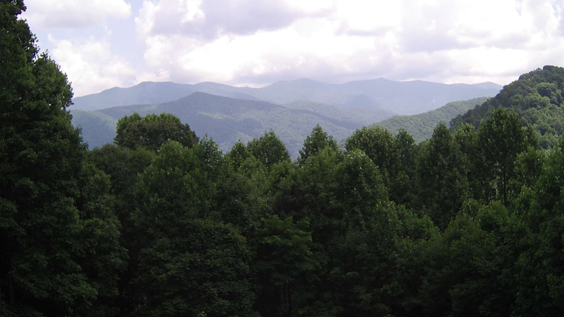 click for next image... slideshow image