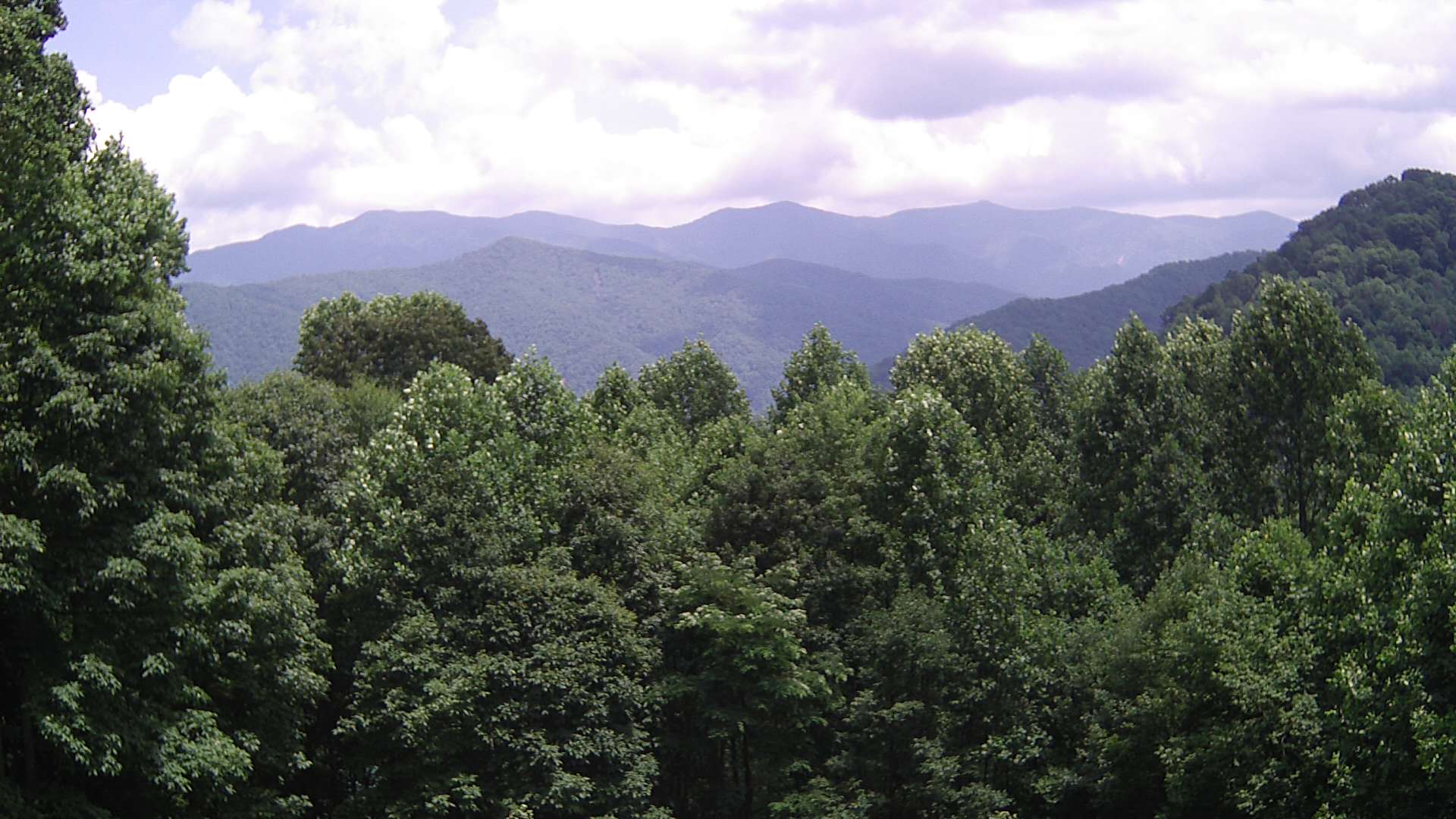 click for next image... slideshow image