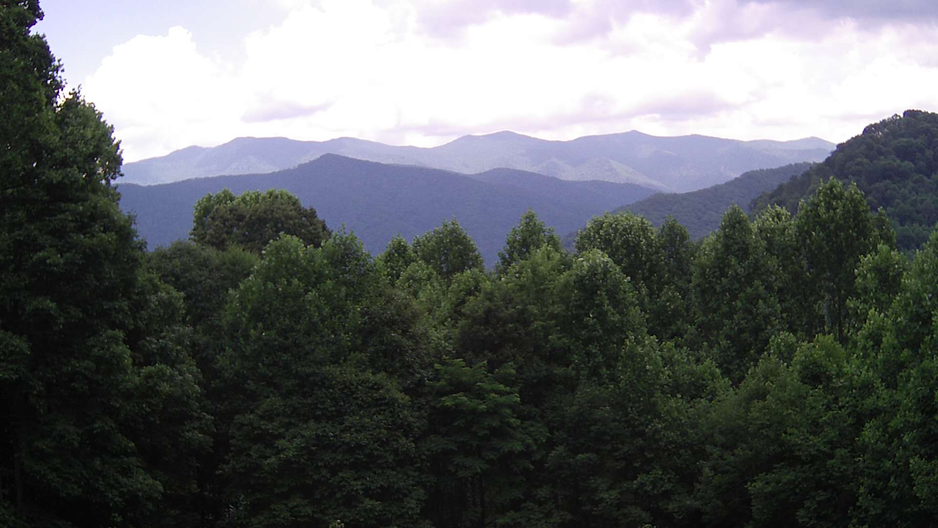 click for next image... slideshow image