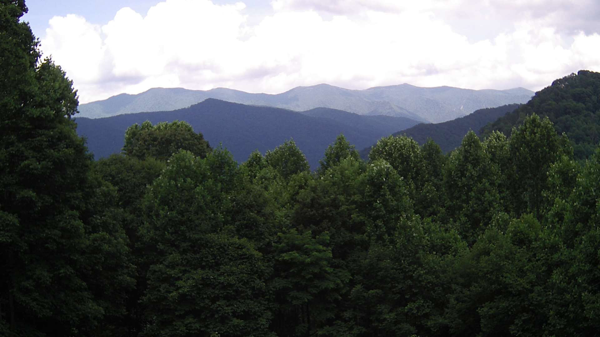 click for next image... slideshow image