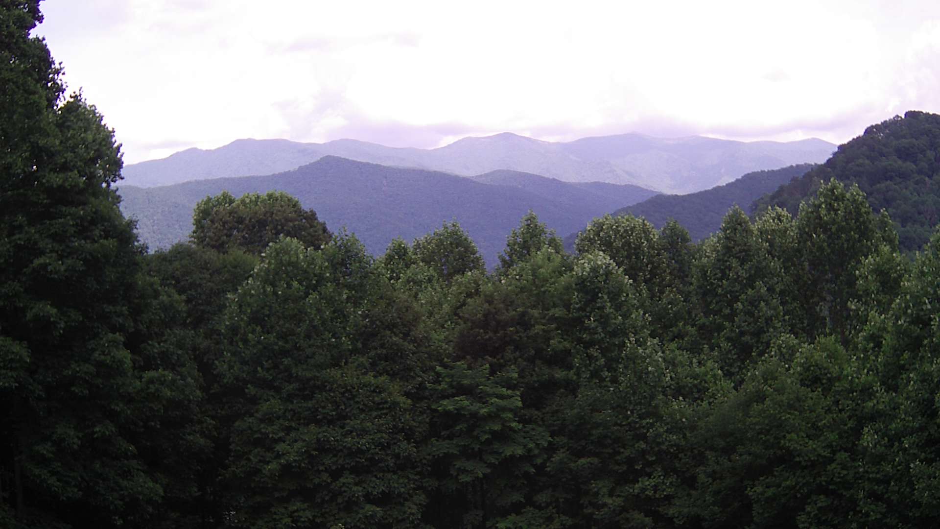 click for next image... slideshow image