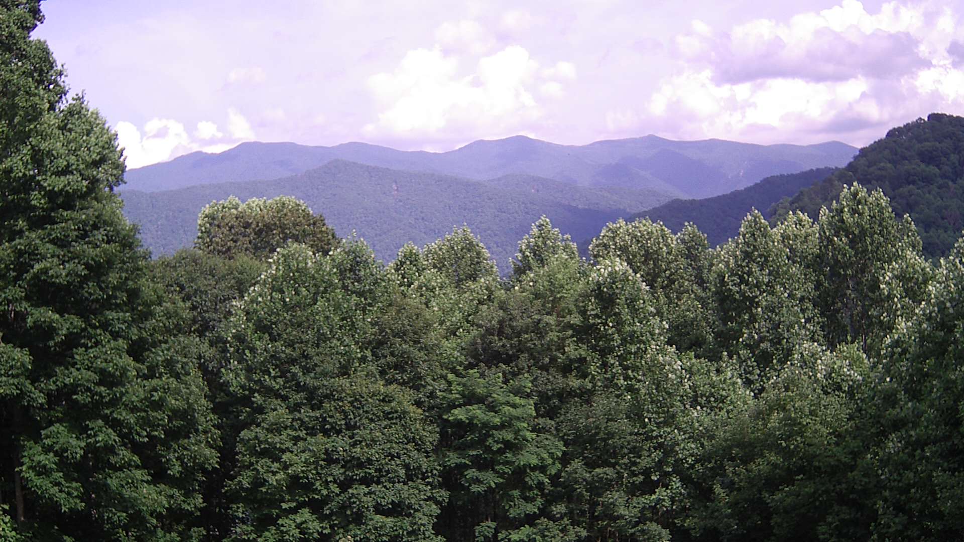 click for next image... slideshow image