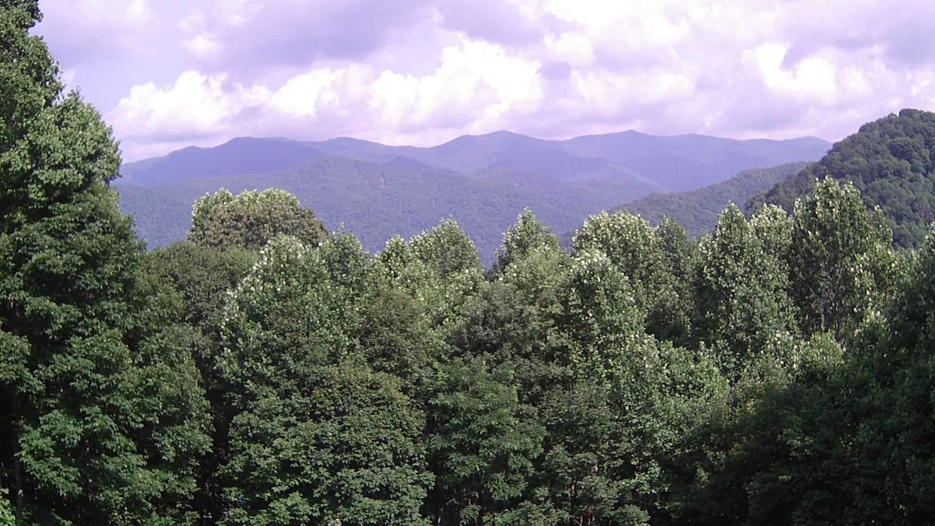 click for next image... slideshow image