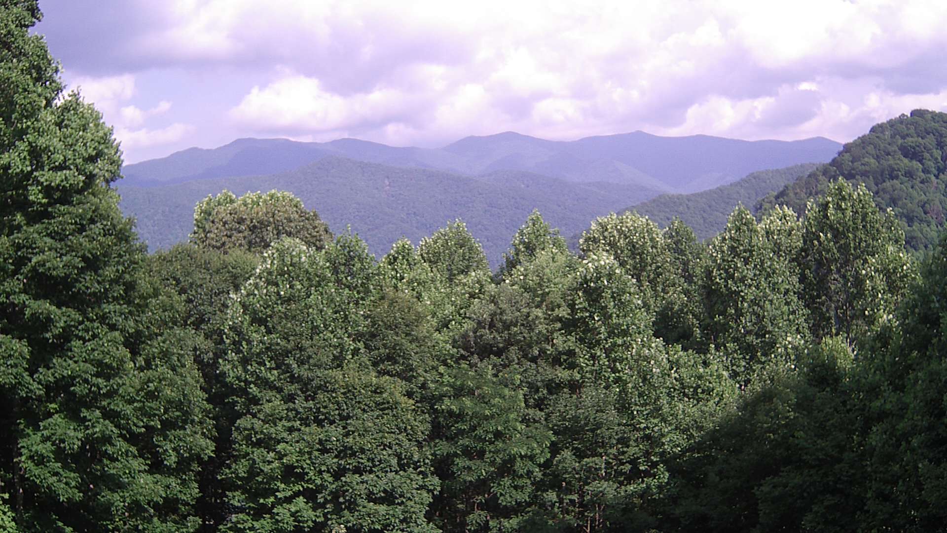 click for next image... slideshow image