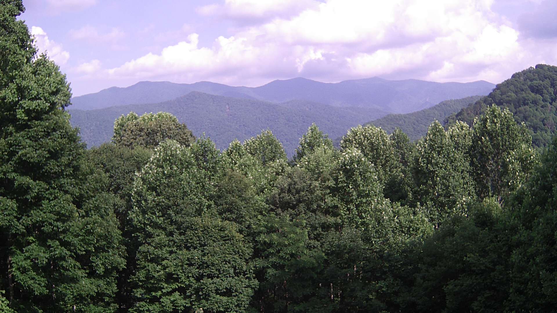 click for next image... slideshow image