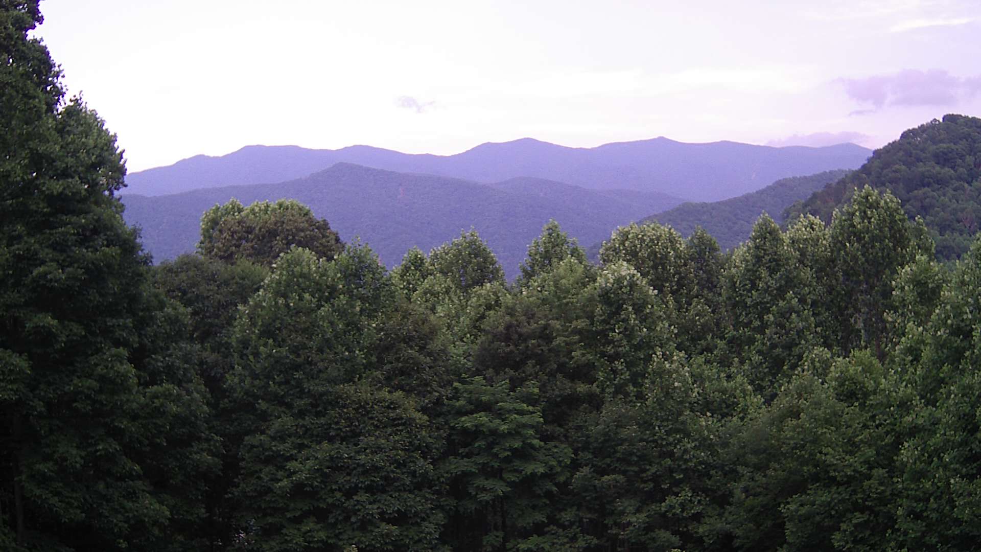 click for next image... slideshow image