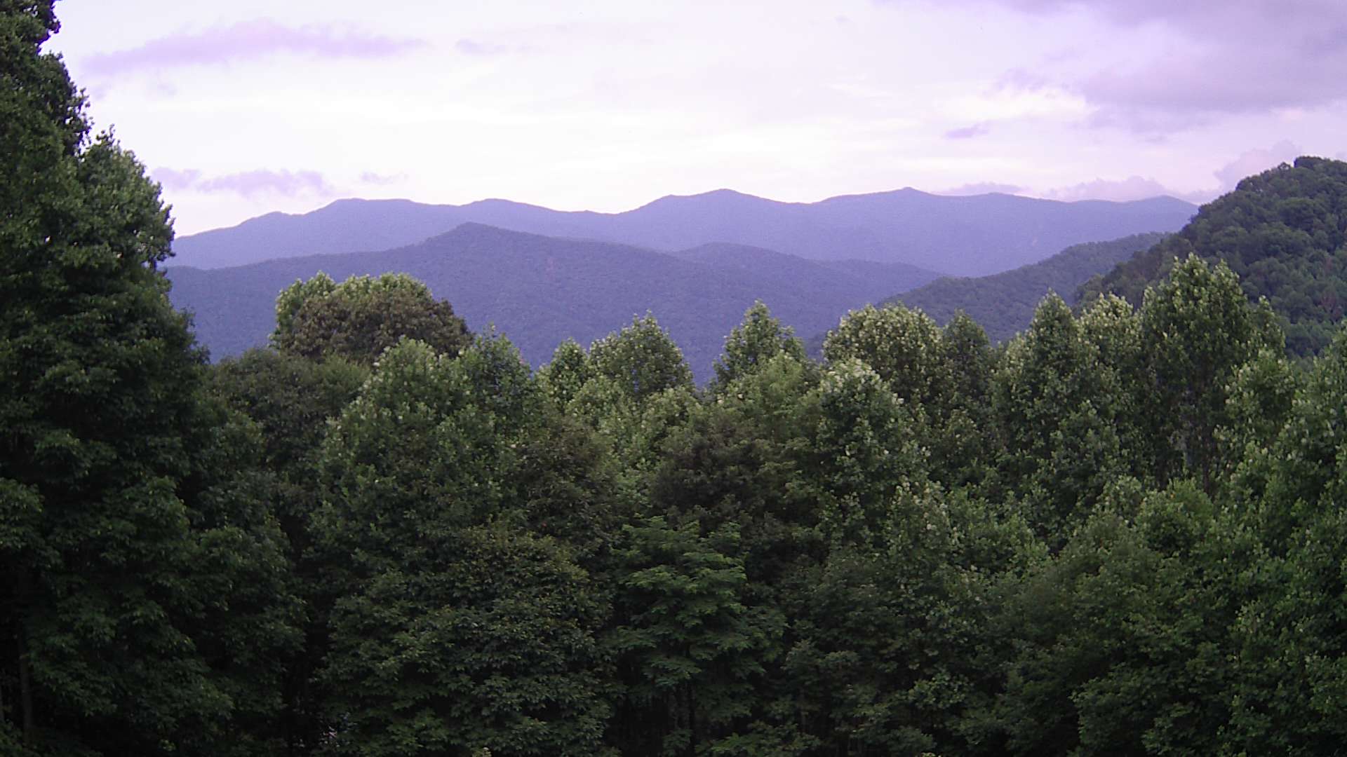 click for next image... slideshow image