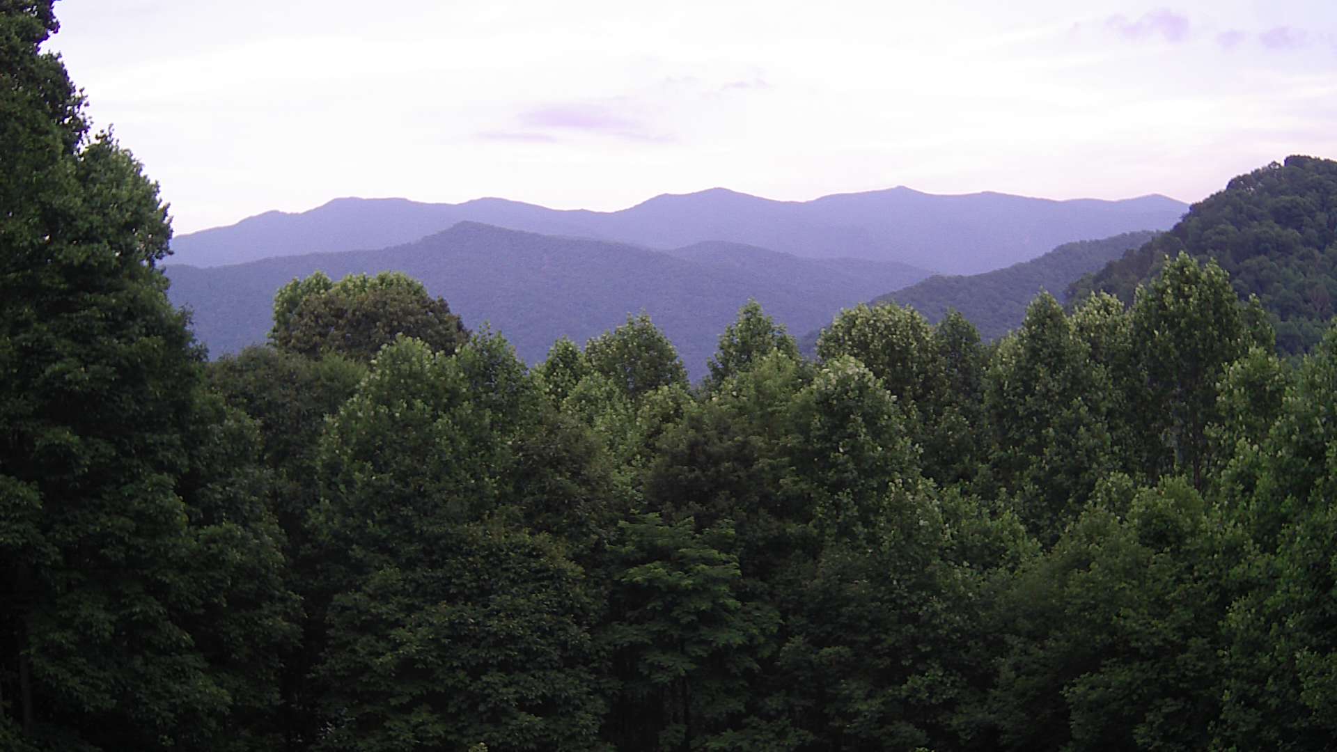 click for next image... slideshow image