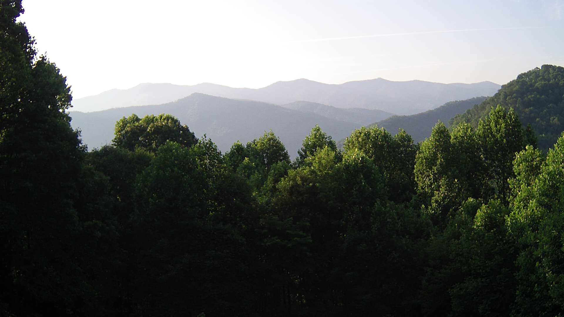 click for next image... slideshow image