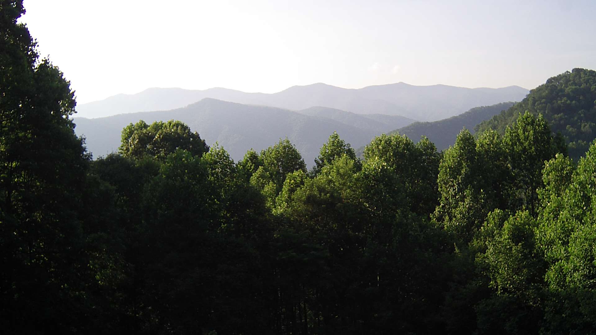 click for next image... slideshow image