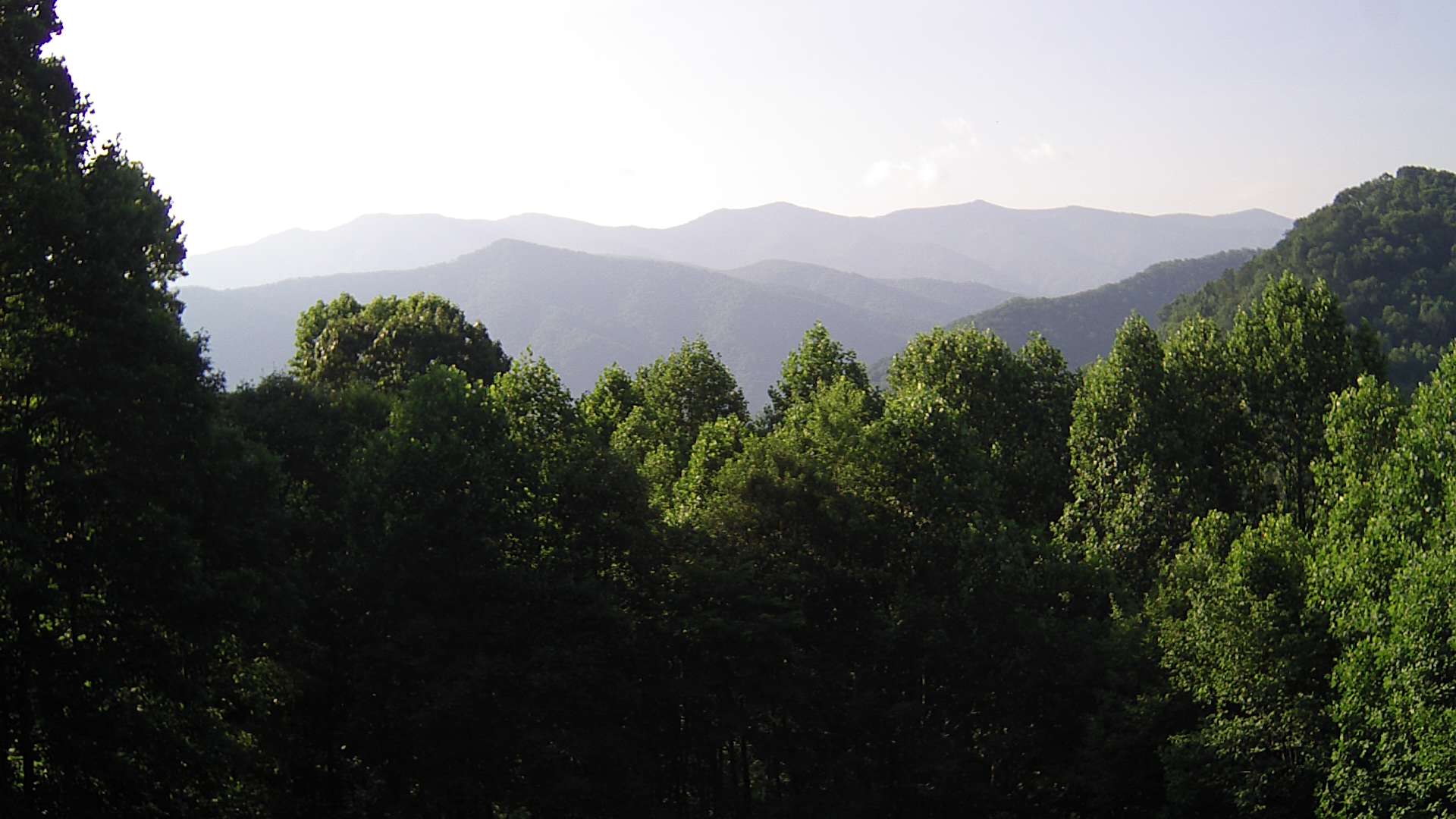 click for next image... slideshow image