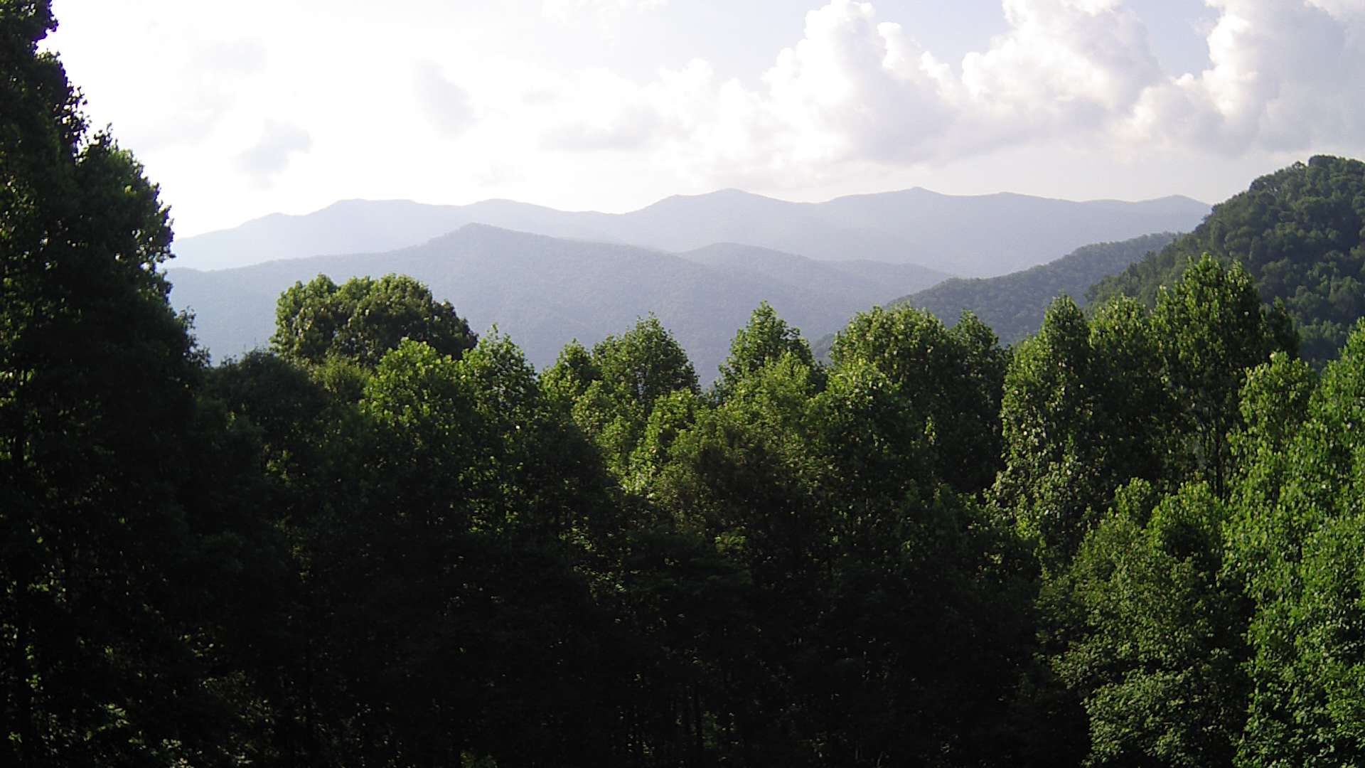 click for next image... slideshow image