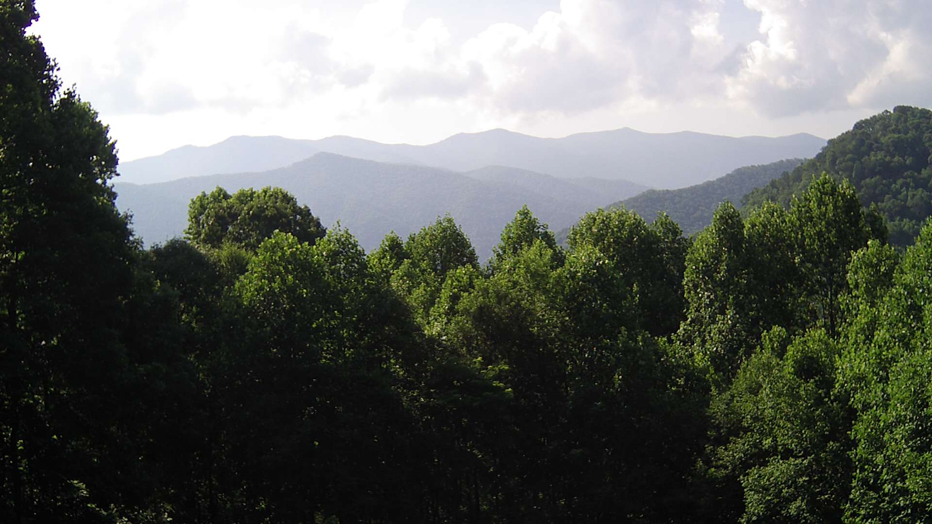 click for next image... slideshow image