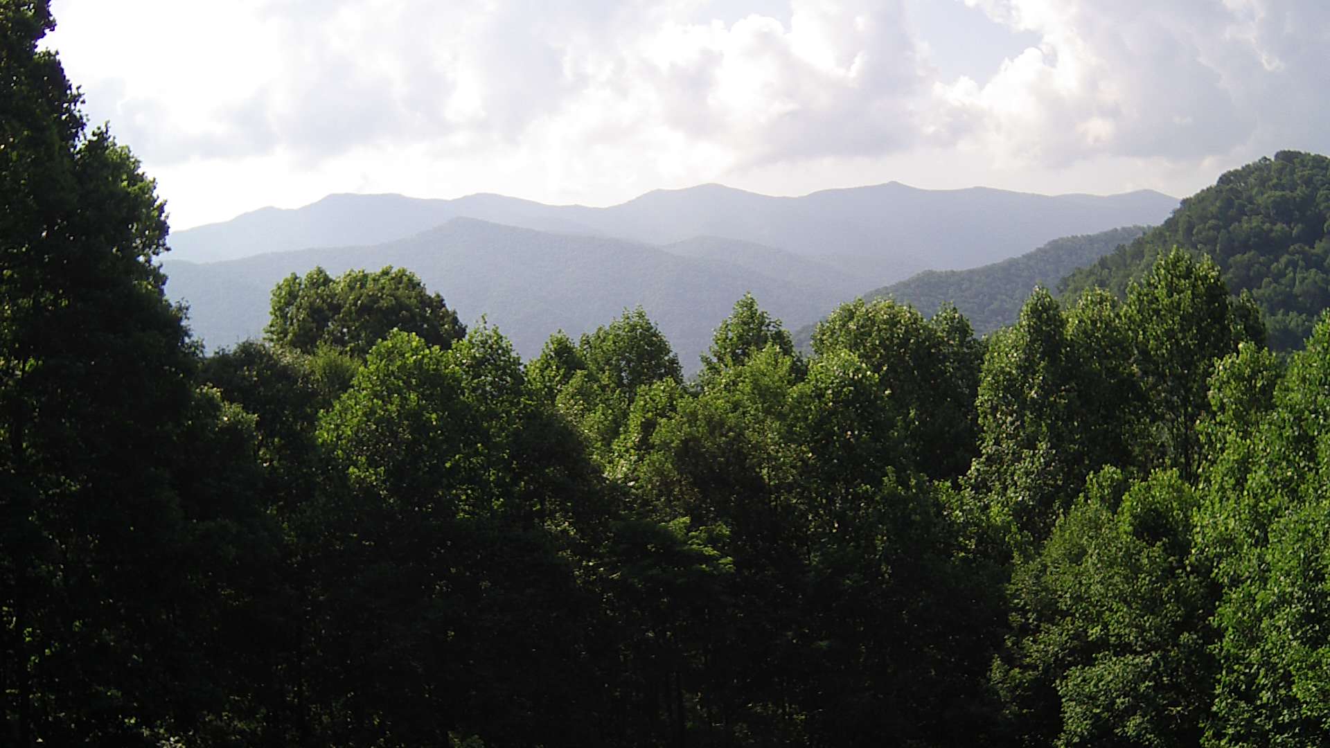 click for next image... slideshow image