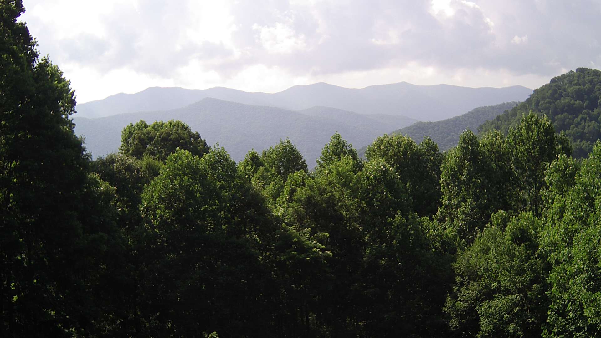 click for next image... slideshow image