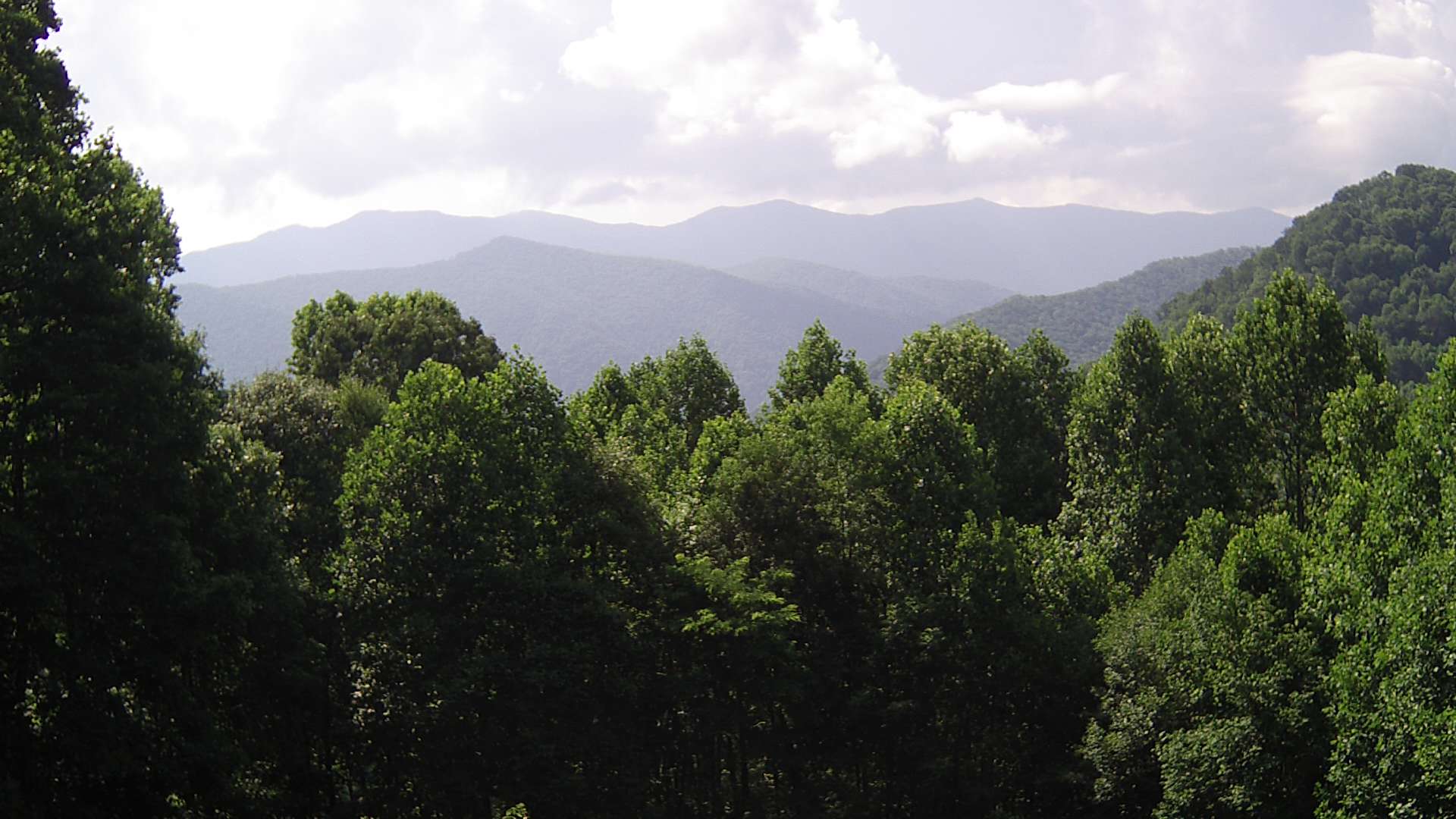 click for next image... slideshow image