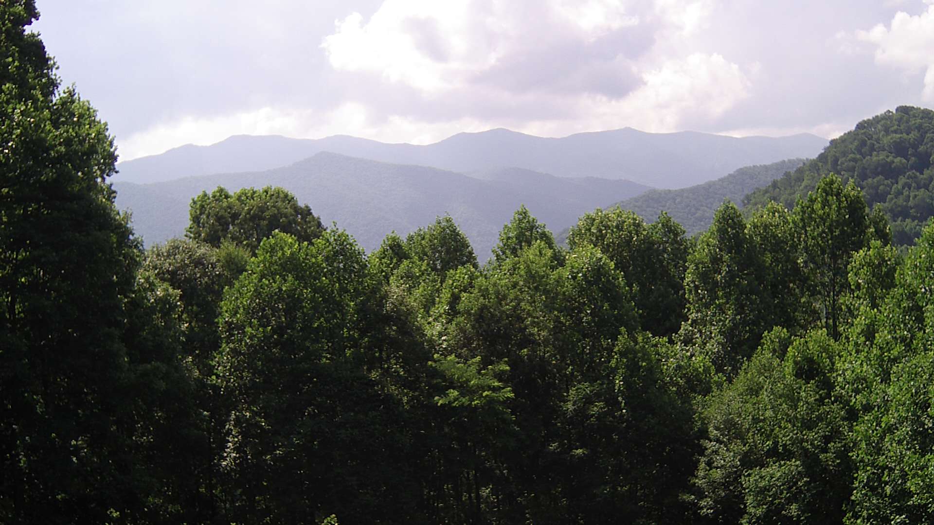 click for next image... slideshow image