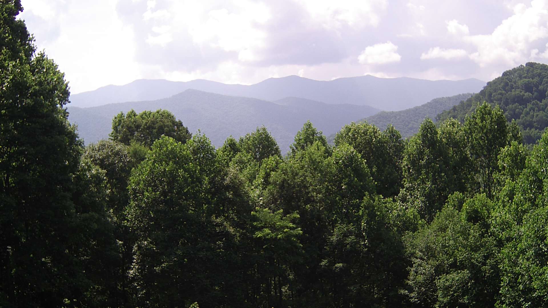 click for next image... slideshow image