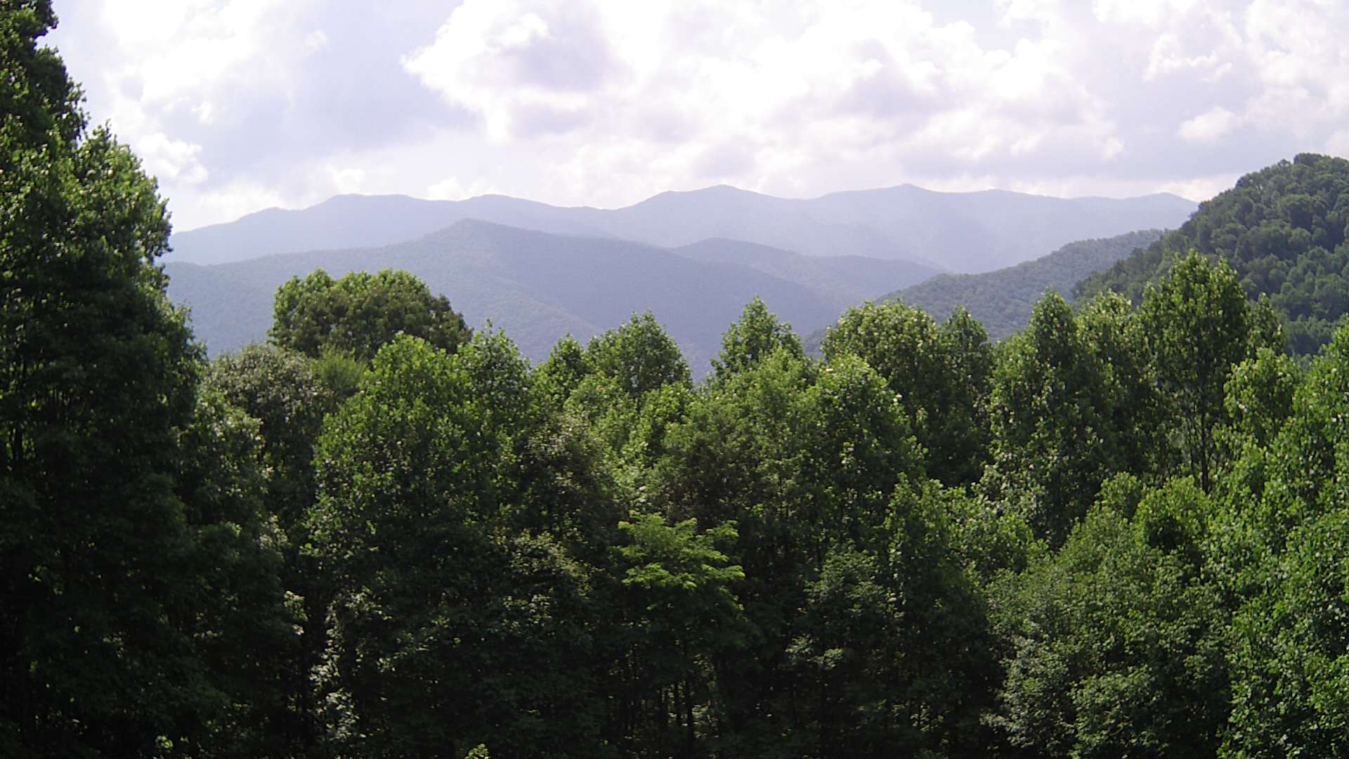 click for next image... slideshow image