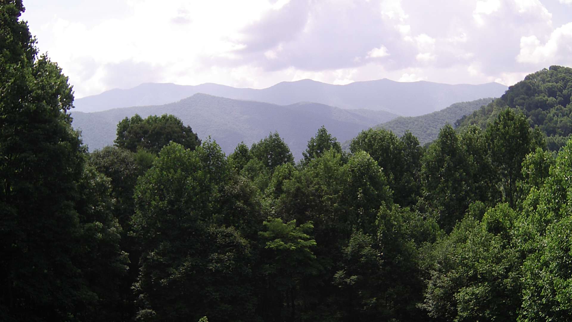 click for next image... slideshow image